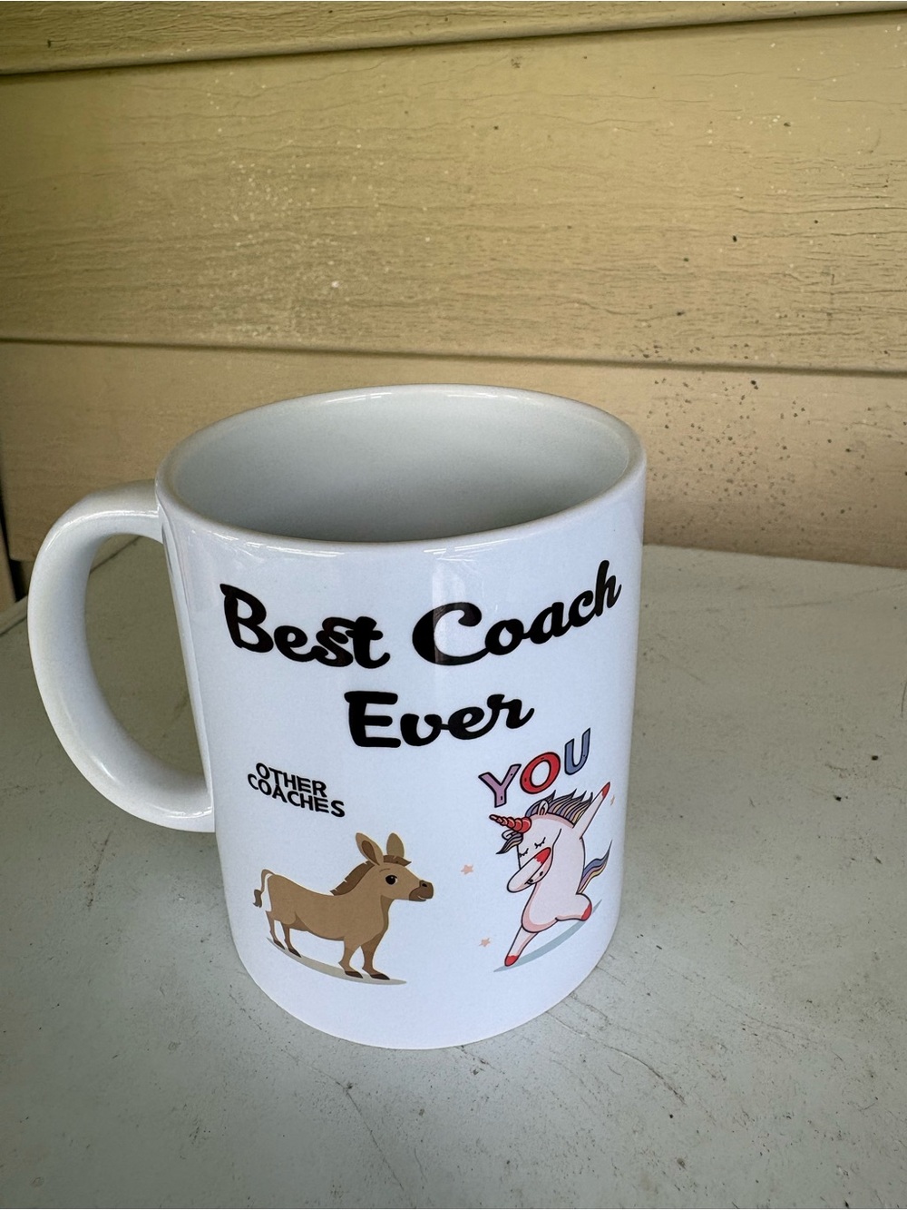 Best Coach Ever White Ceramic Mug - Pets Dog Gift